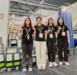 Vikstars Co., Limited linea di produzione del fabbricante