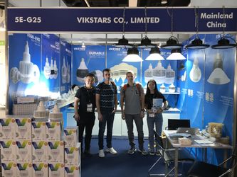 Vikstars Co., Limited linea di produzione del fabbricante