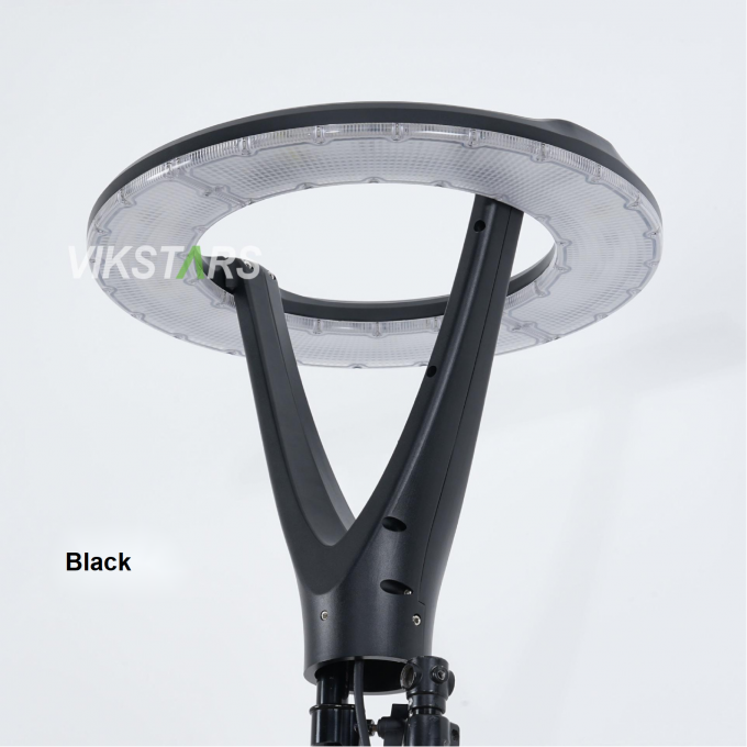 100W Nuove luci da giardino 2 anni Garanzia 100lm/w Prezzo economico all'ingrosso 3