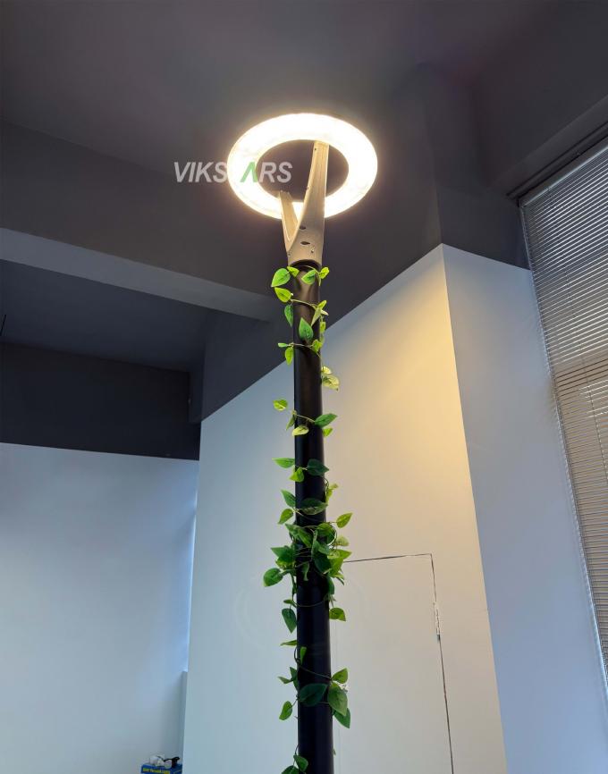 100W Nuove luci da giardino 2 anni Garanzia 100lm/w Prezzo economico all'ingrosso 10